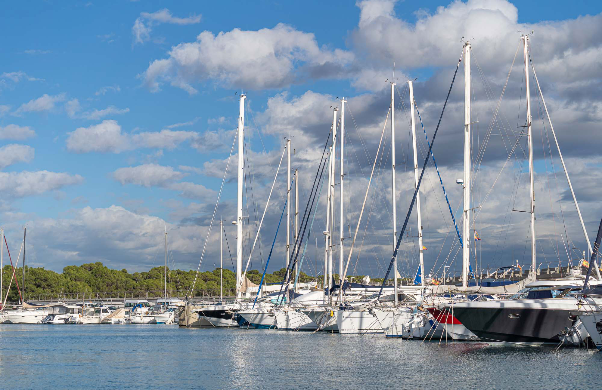 The Balearic boat market contracts by 5% in the first half of the year