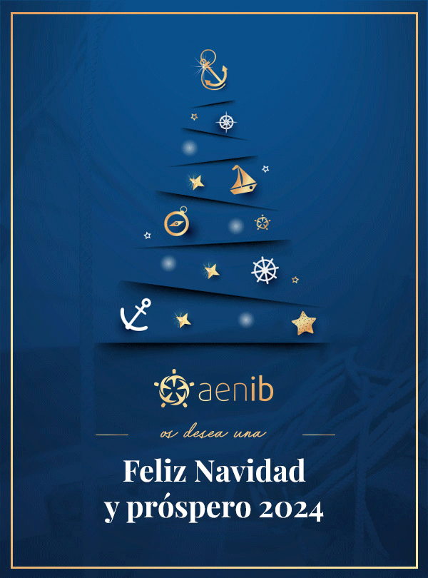 AENIB wishes you a Merry Christmas and a Prosperous 2024